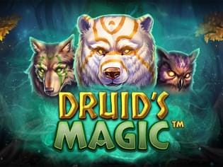 Druid’s Magic game cover